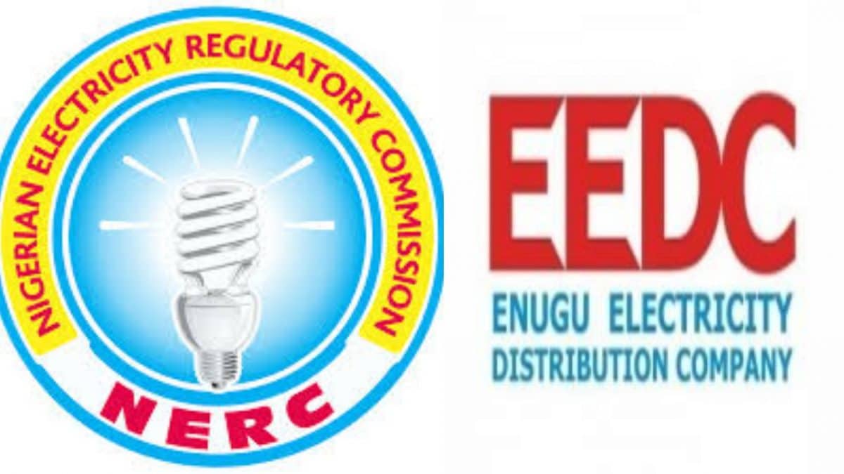 Labour strike: Power outage in Imo beyond us – EEDC begs customers