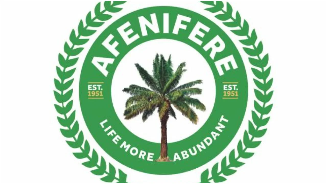 Why Nigeria may not witness free, fair election under Tinubu – Afenifere