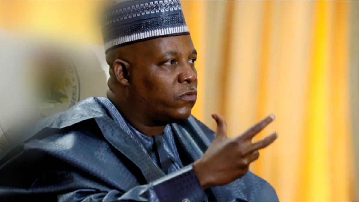 Shettima bemoans neglect of creative industry by past administration