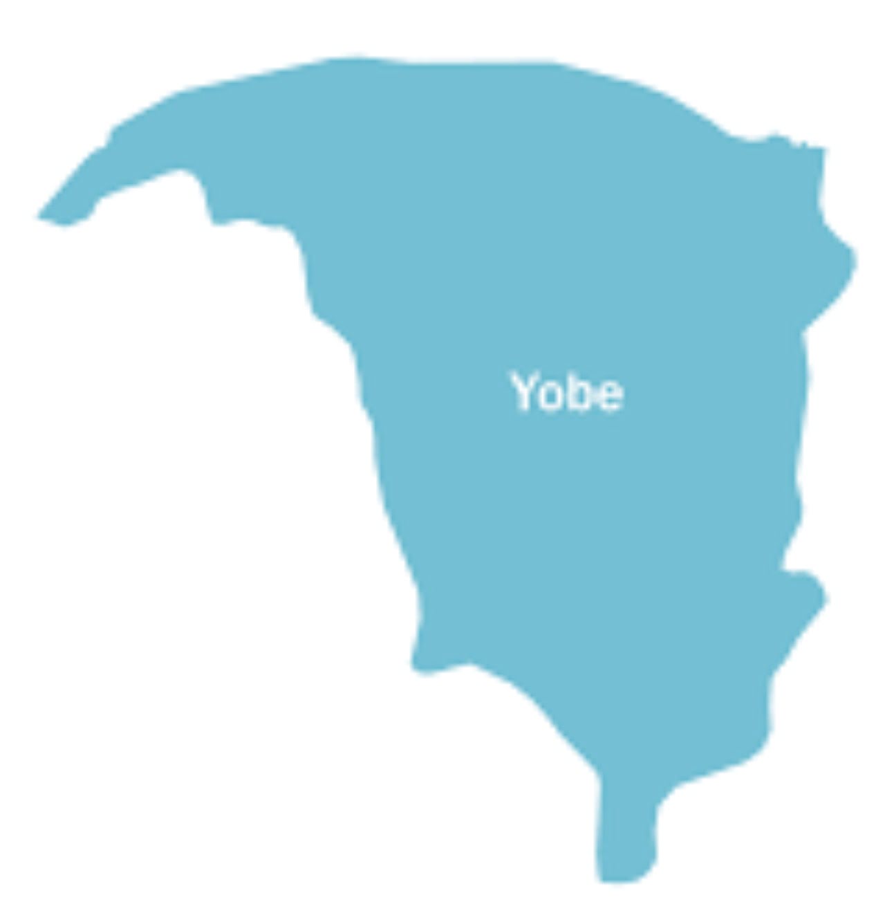 Residents accuse Yobe LG chair of land-grabbing