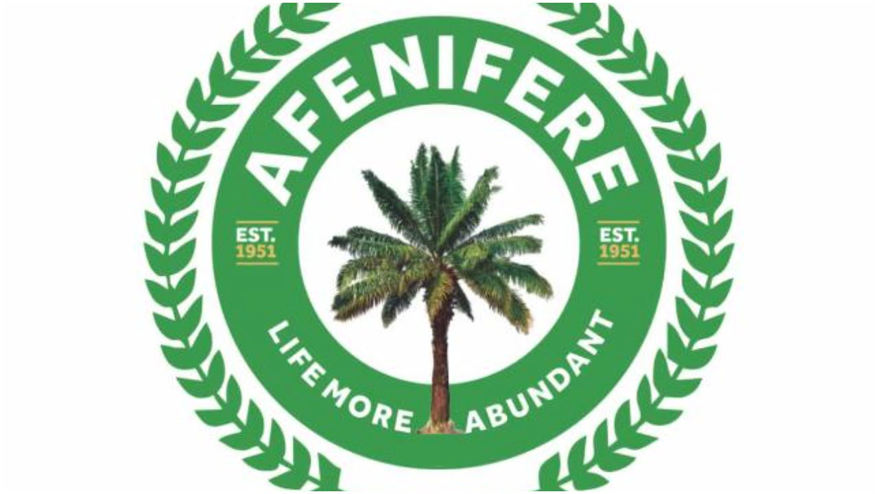 Afenifere worried over kidnappings in Lagos, Ekiti bank attack