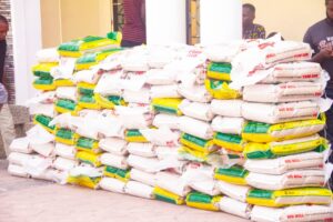 AKWA IBOM: Gov. Umo Eno celebrates Entertainers; gift bags of Rice