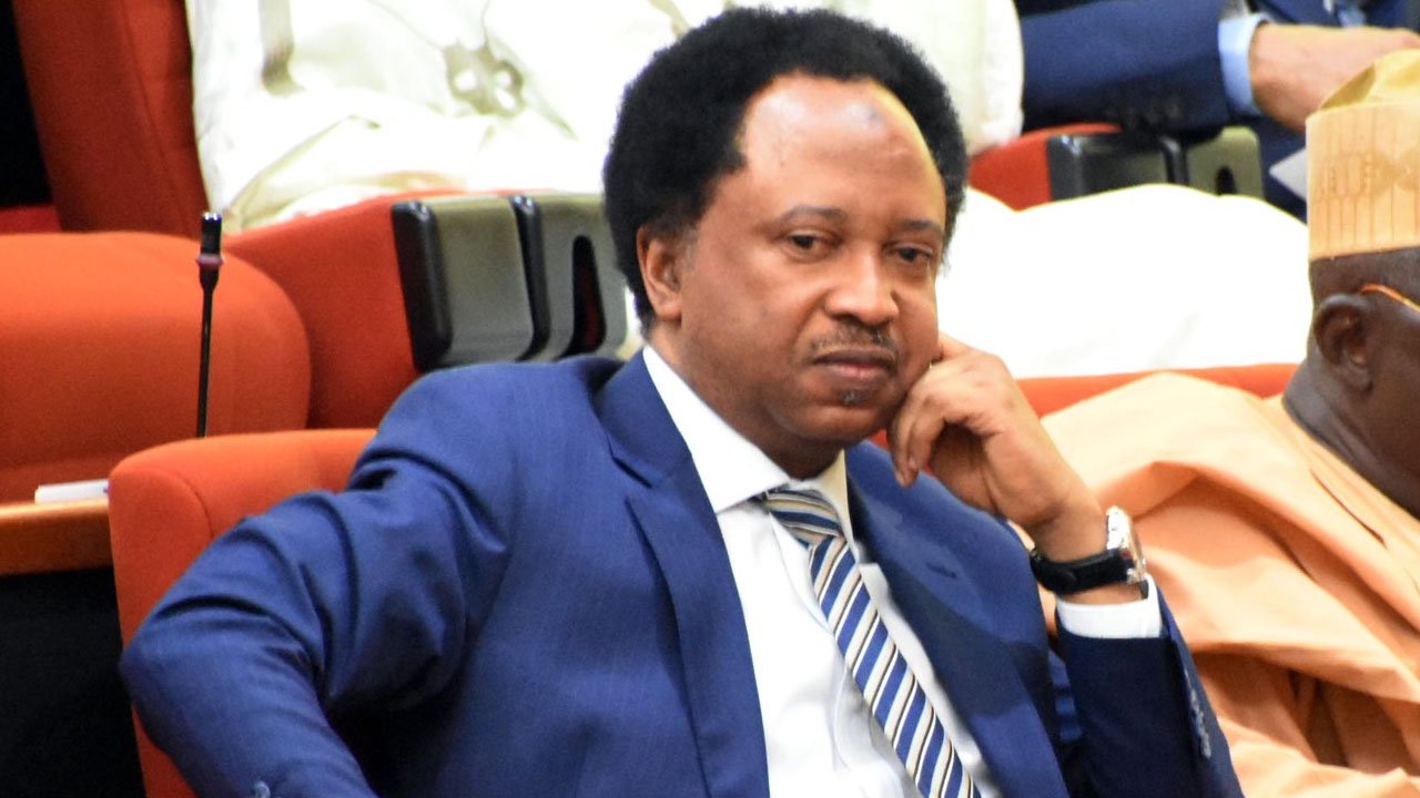 Ondo facing ‘Yaradua quagmire’ – Shehu Sani on Commissioners forging Akeredolu’s signature