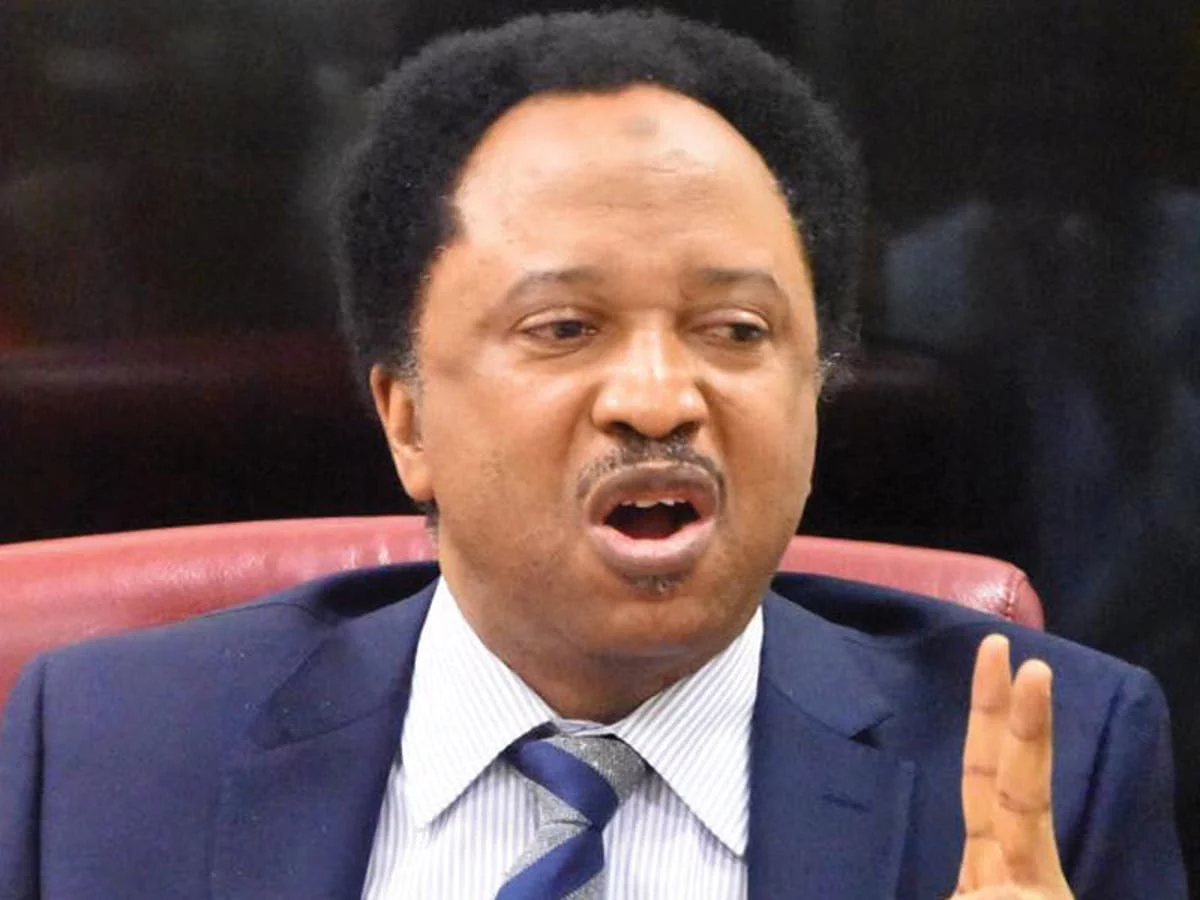 Insecurity: Tinubu can’t fix in 6 months what Buhari failed at in 8 years – Shehu Sani