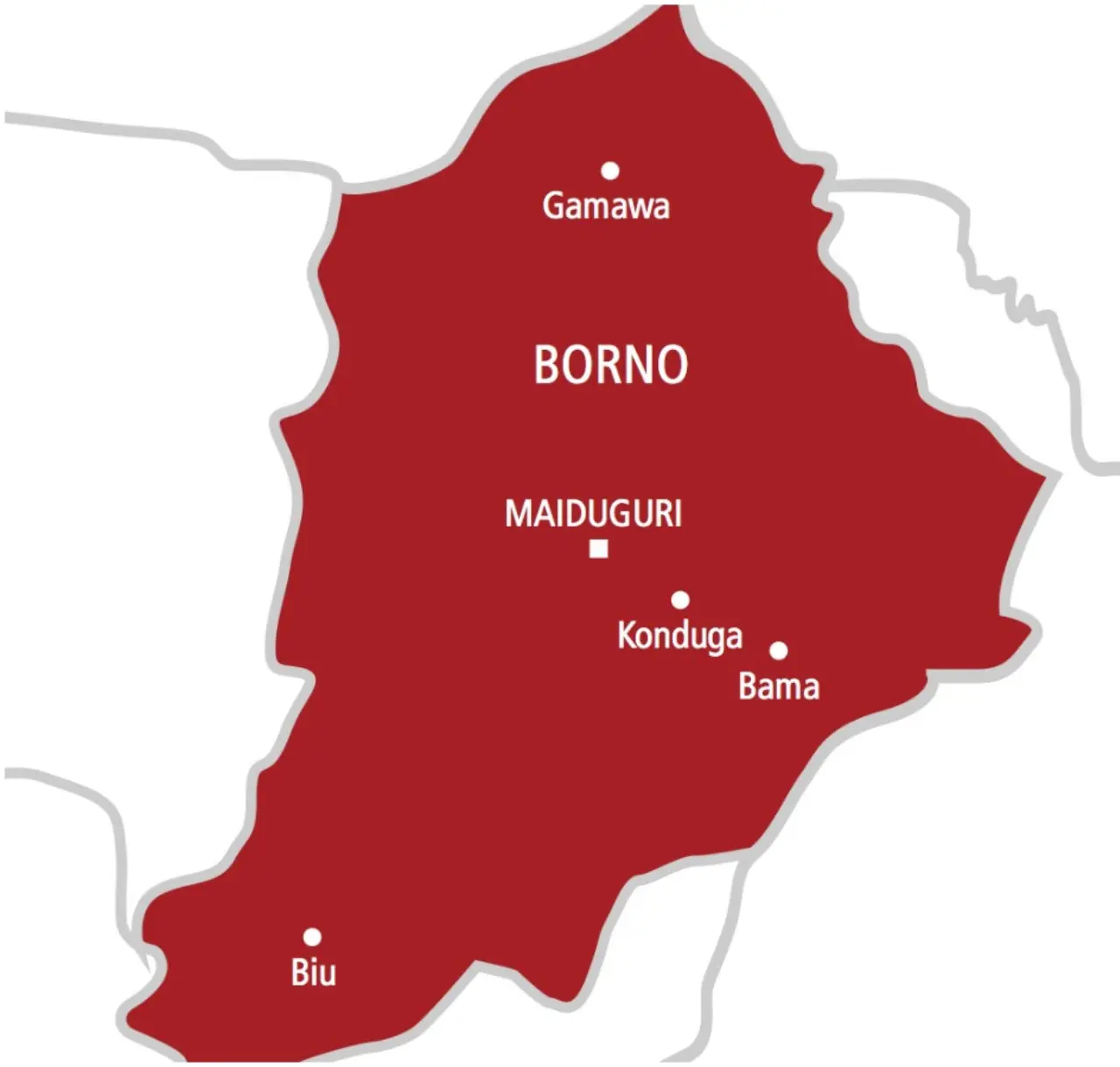 Borno gets first elected female LG chairman