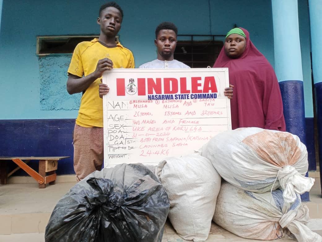 NDLEA intercepts 14.5 tons of ‘Ghanaian Loud’ linked to wanted drug baron in Lagos