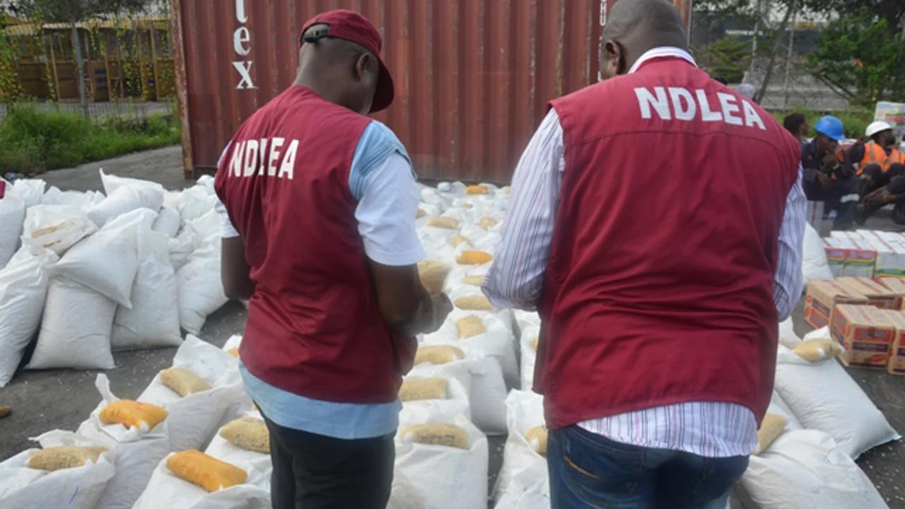 NDLEA intercepts large consignment of illicit drugs in Ondo, Edo, FCT