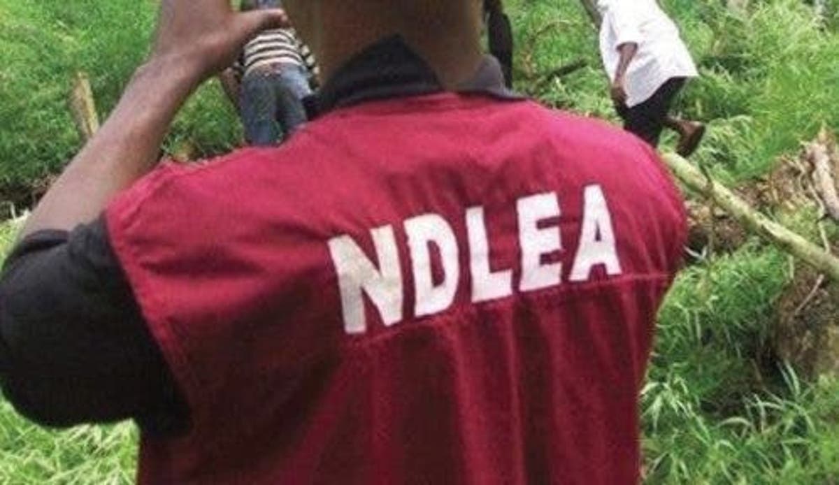 NDLEA arrests female suspect with 1.2kg of cannabis in Nasarawa