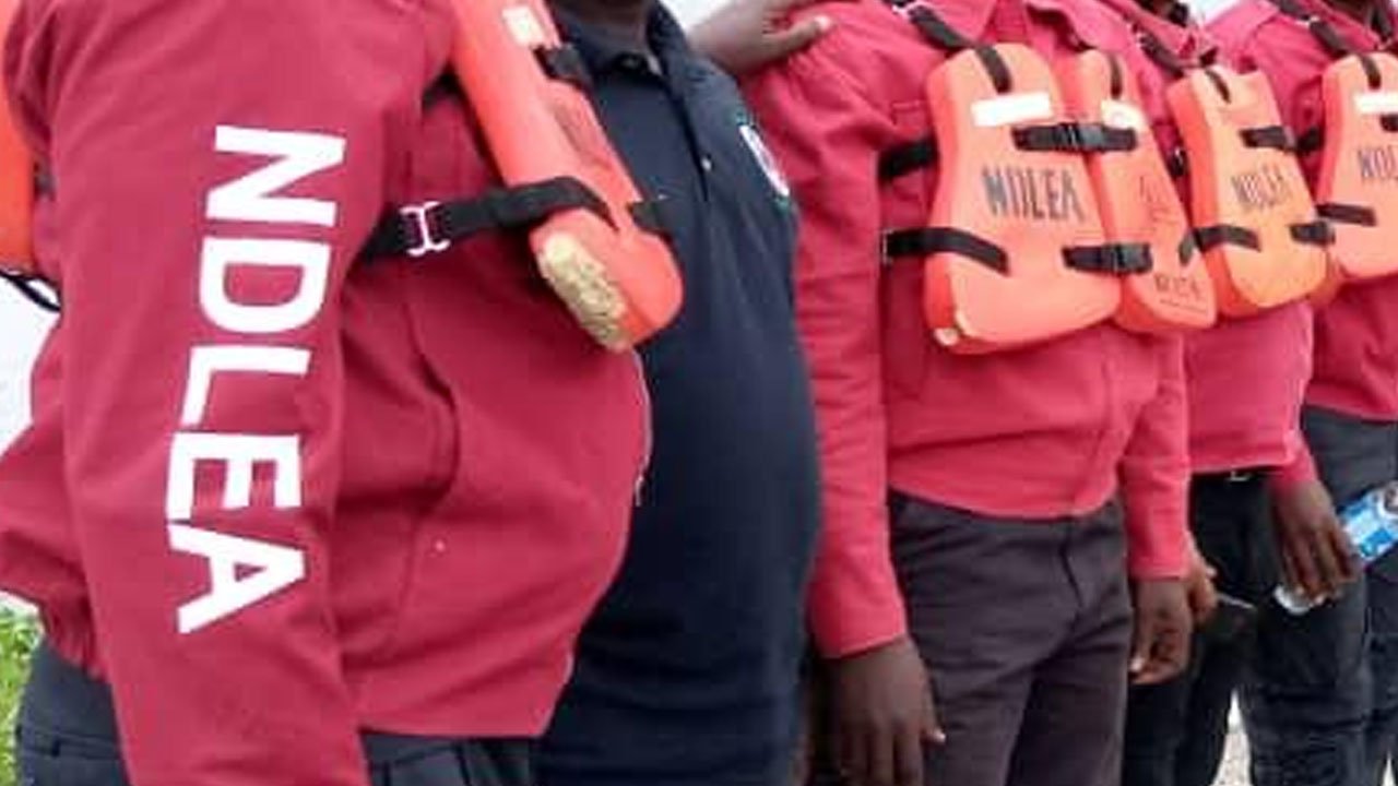 NDLEA arrests 92 suspects, seizes 217kg illicit substances in Kaduna