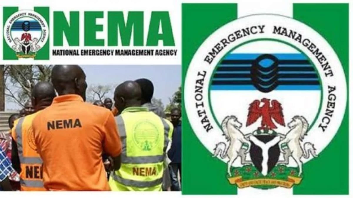 NEMA seeks collaboration among stakeholders to tackle disaster management