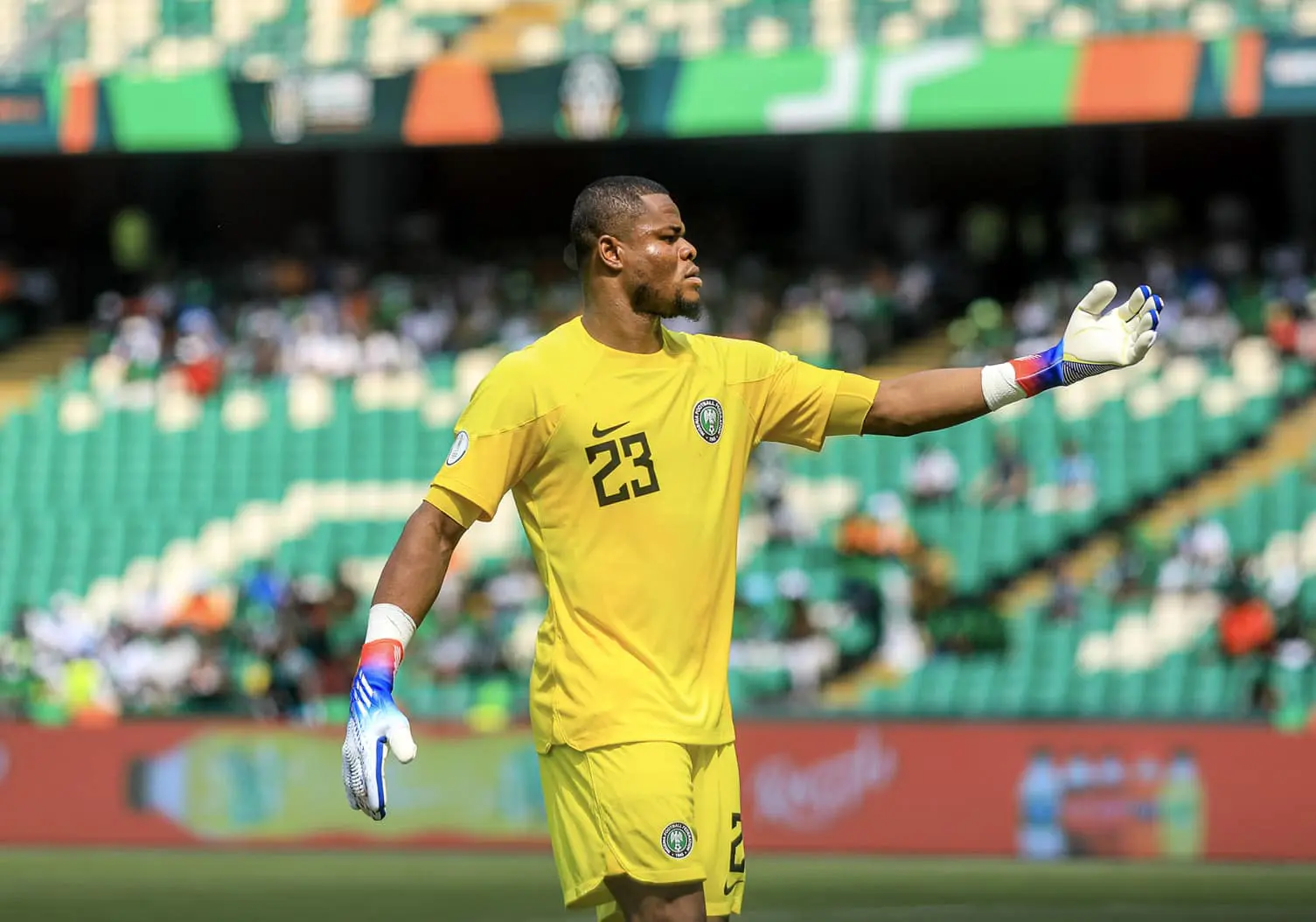 AFCON: Super Eagles goalkeeper, Nwabali warned against returning to South Africa