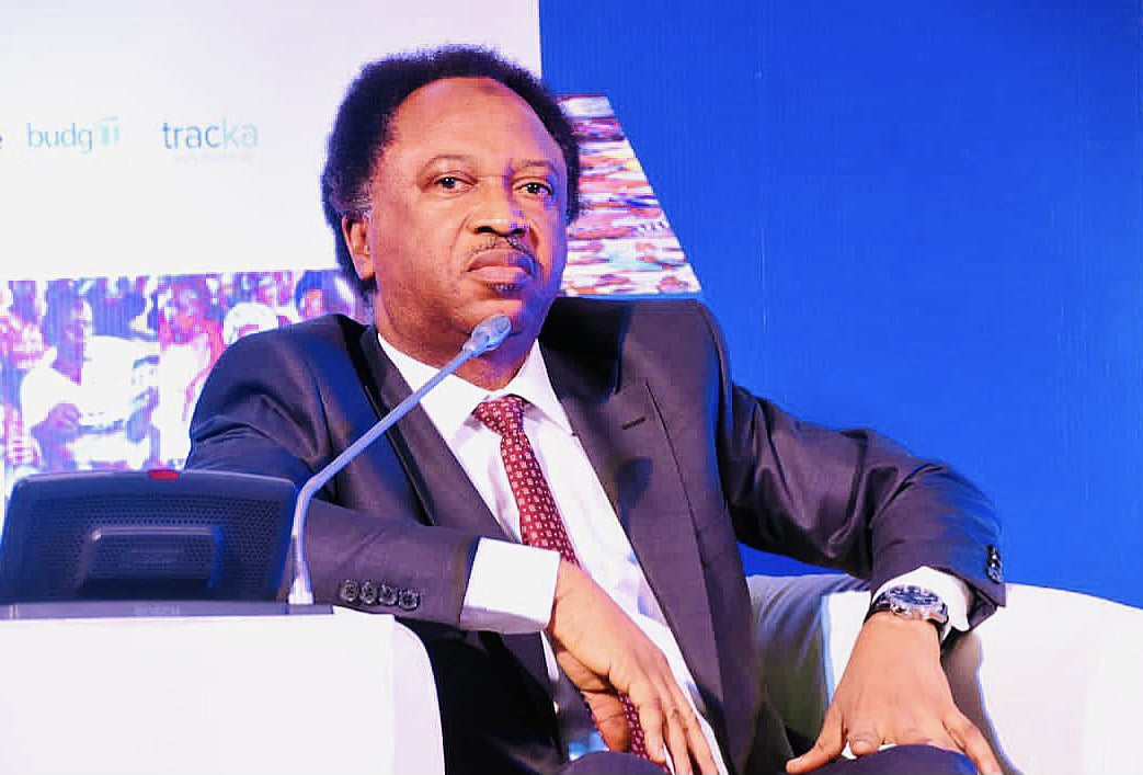 AFCON 2023: Only God would’ve saved Tinubu from koboko if he attended final – Shehu Sani