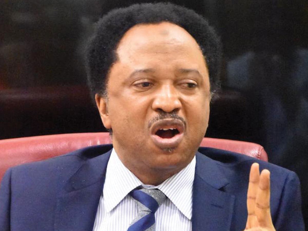 Economic hardship: AFCON cup gone, let’s face cup of ‘Garri’ – Shehu Sani