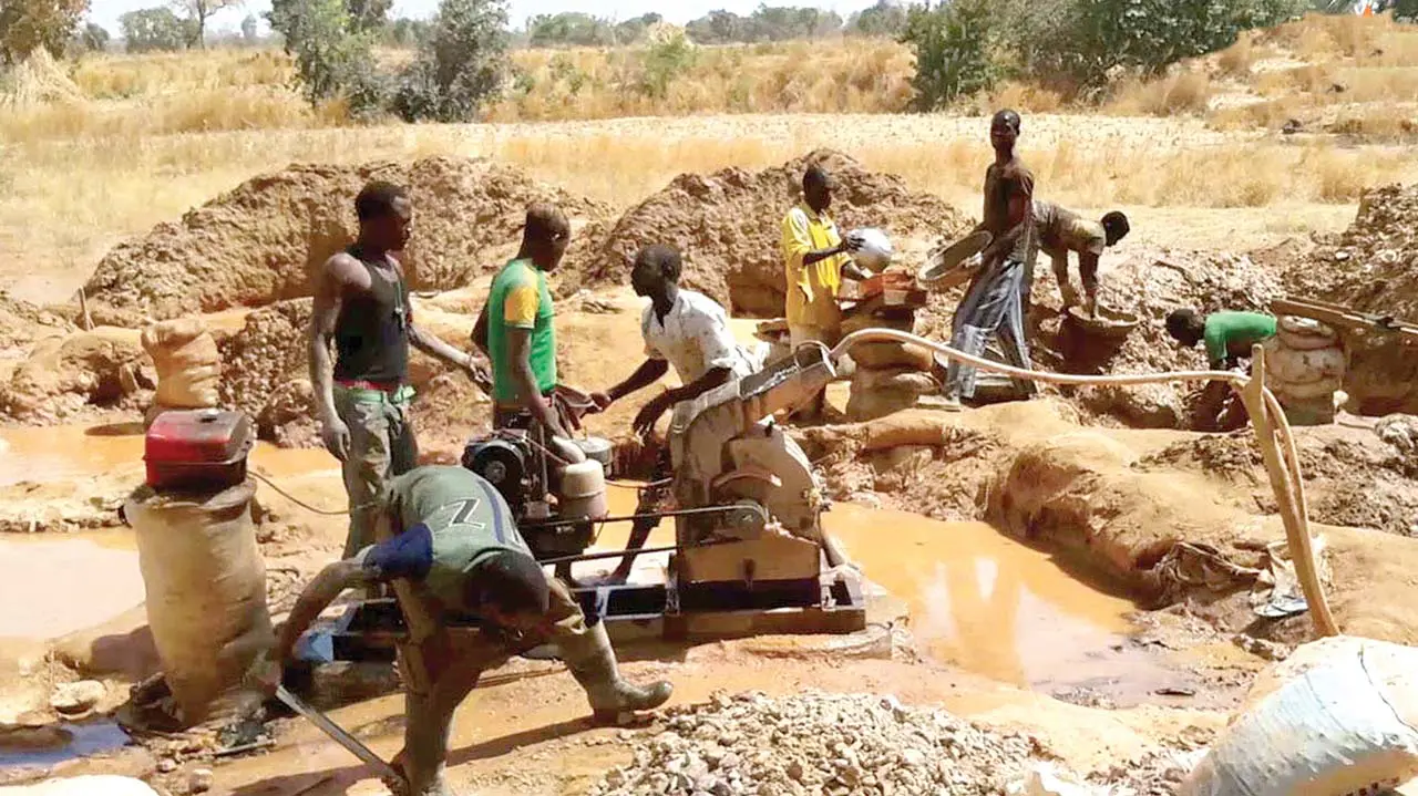 Niger govt cracks down on illegal miners