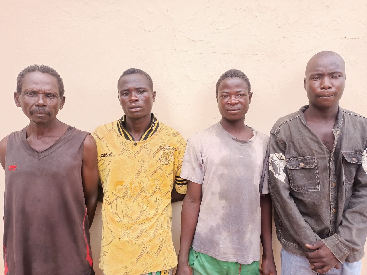 4 arrested for cattle rustling, animal abuse in Adamawa