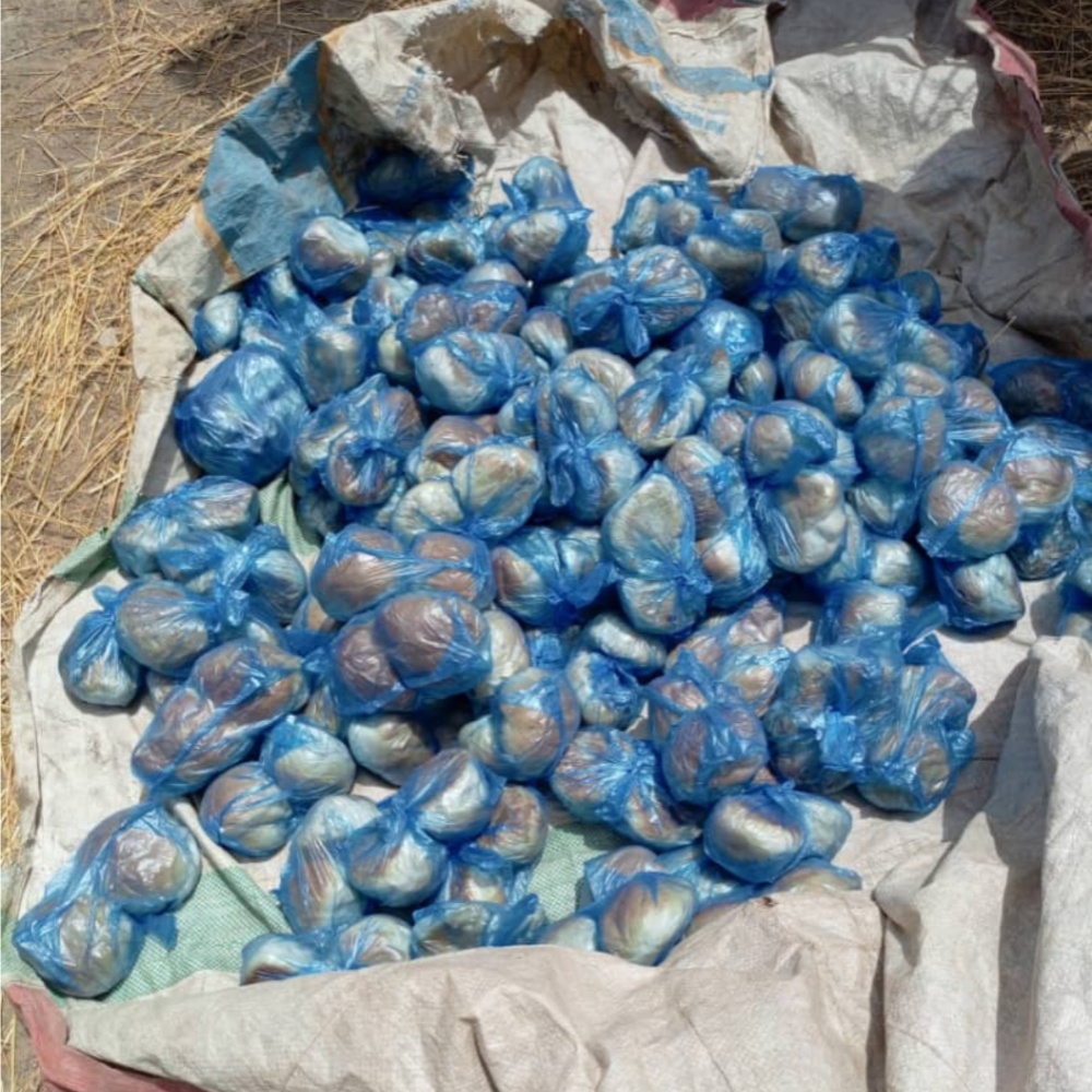 Troops discover ISWAP bread factory (PHOTOS)