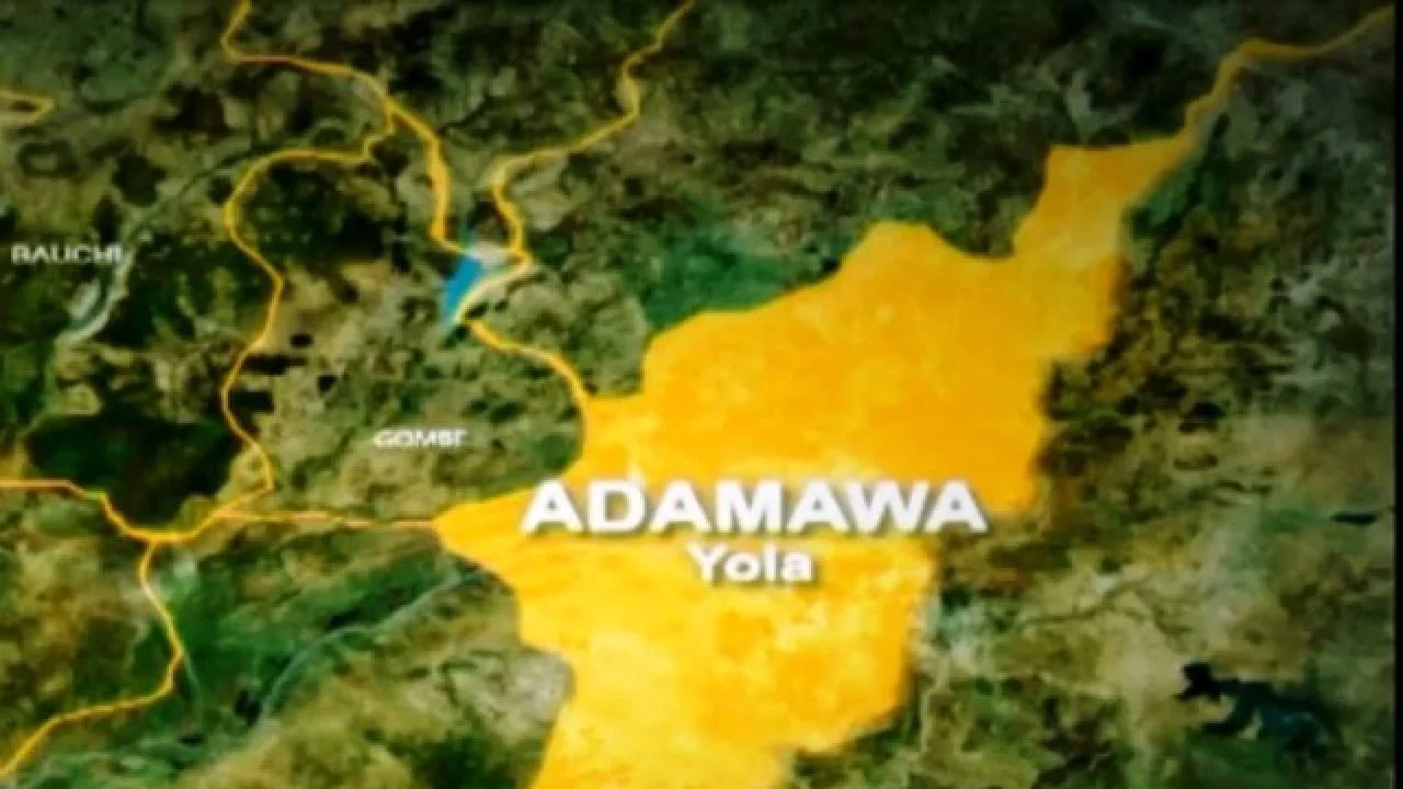 Mob kills mentally unstable man for attacking, injuring couple in Adamawa