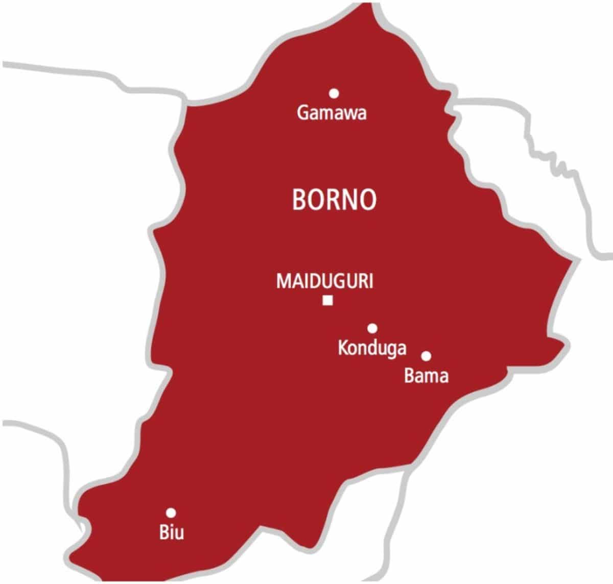 Borno: Traditional rulers beg communities to accept repentant terrorists