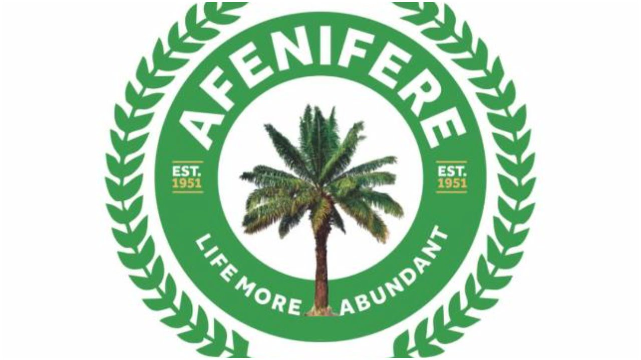 Afenifere decries renewed kidnapping, other criminal activities in Nigeria