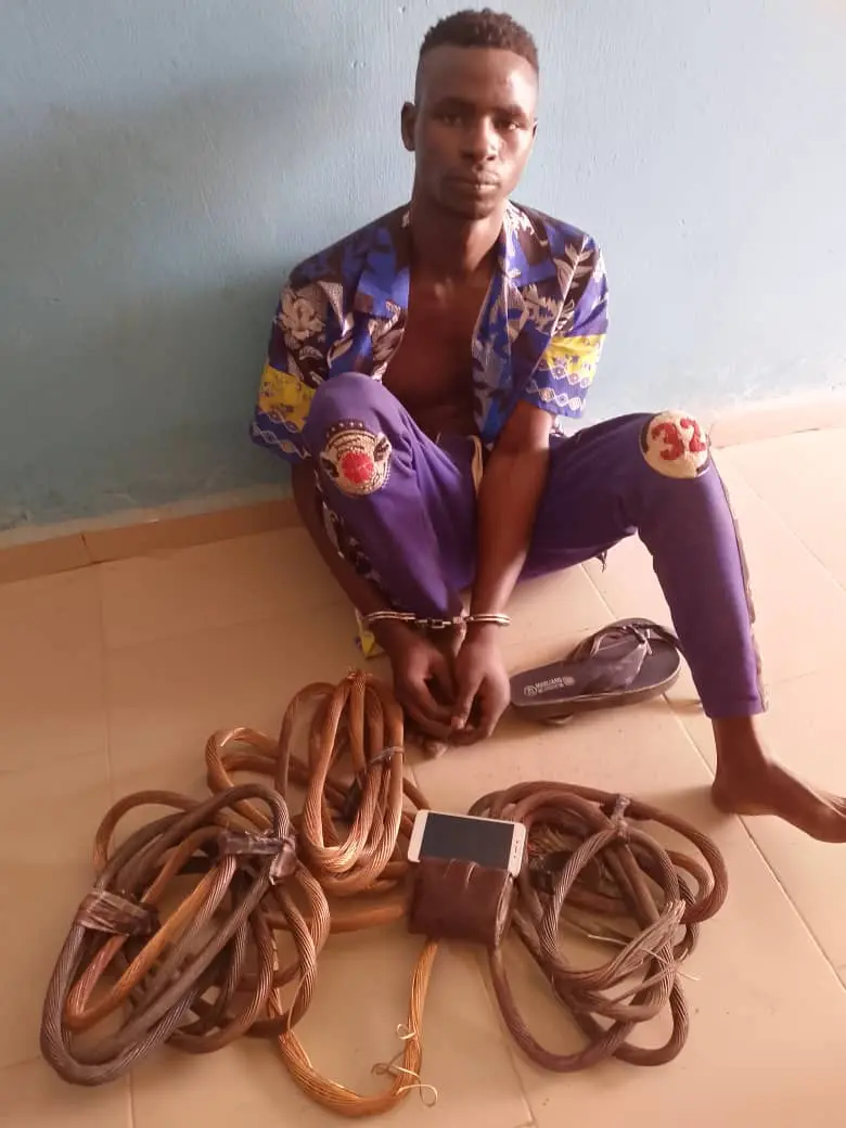 Police nab suspect who specialises in vandalization of electricity cables in Yobe
