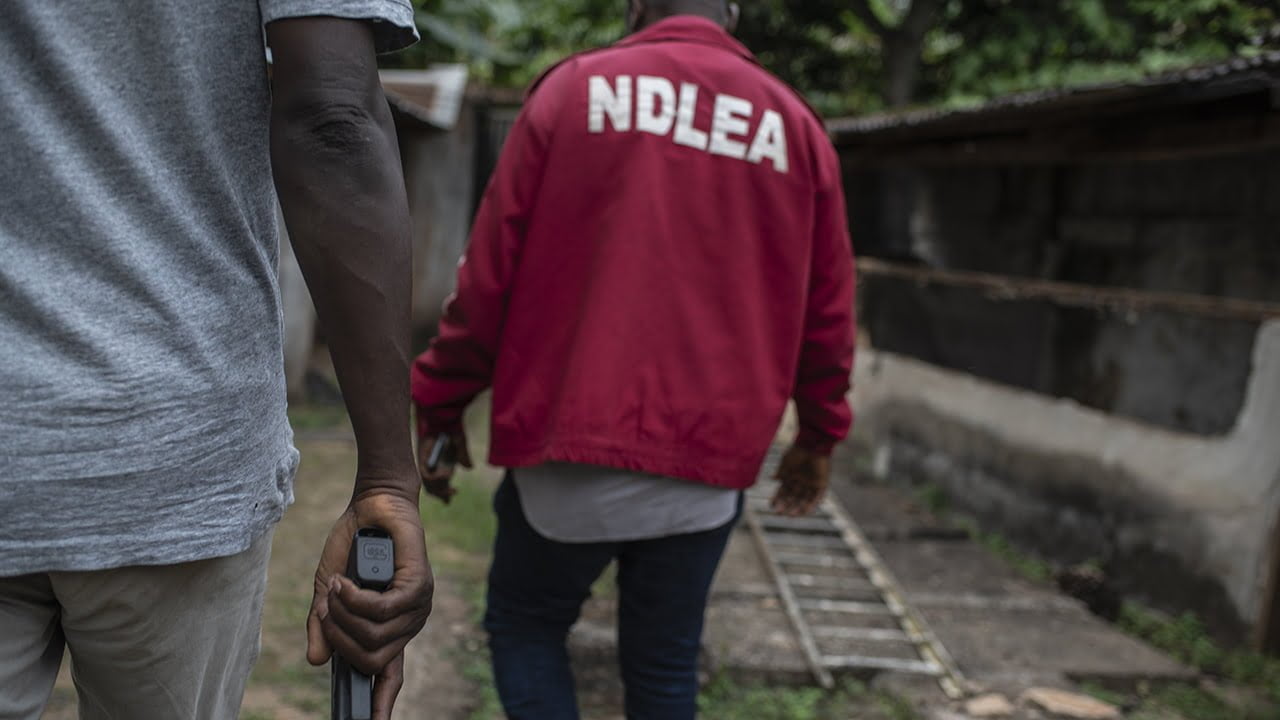 NDLEA arrests 31 suspects in Kwara
