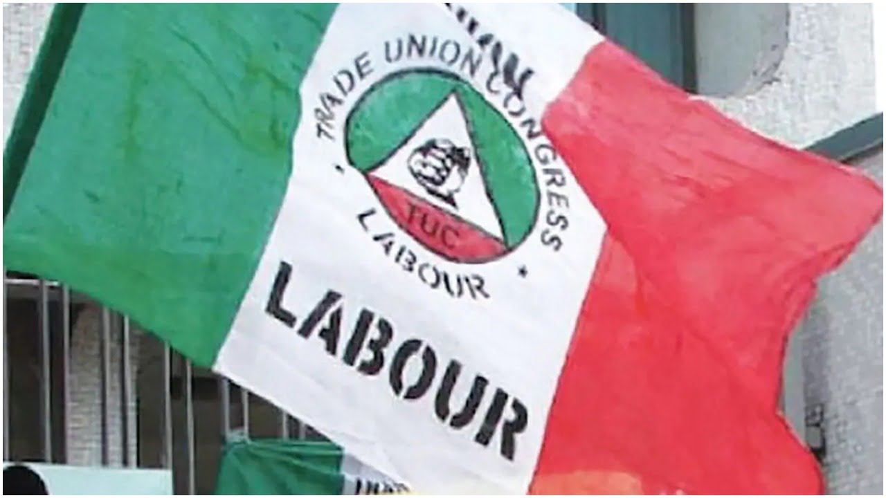 Electricity tariff hike: Organised labour pickets YEDC offices in Taraba