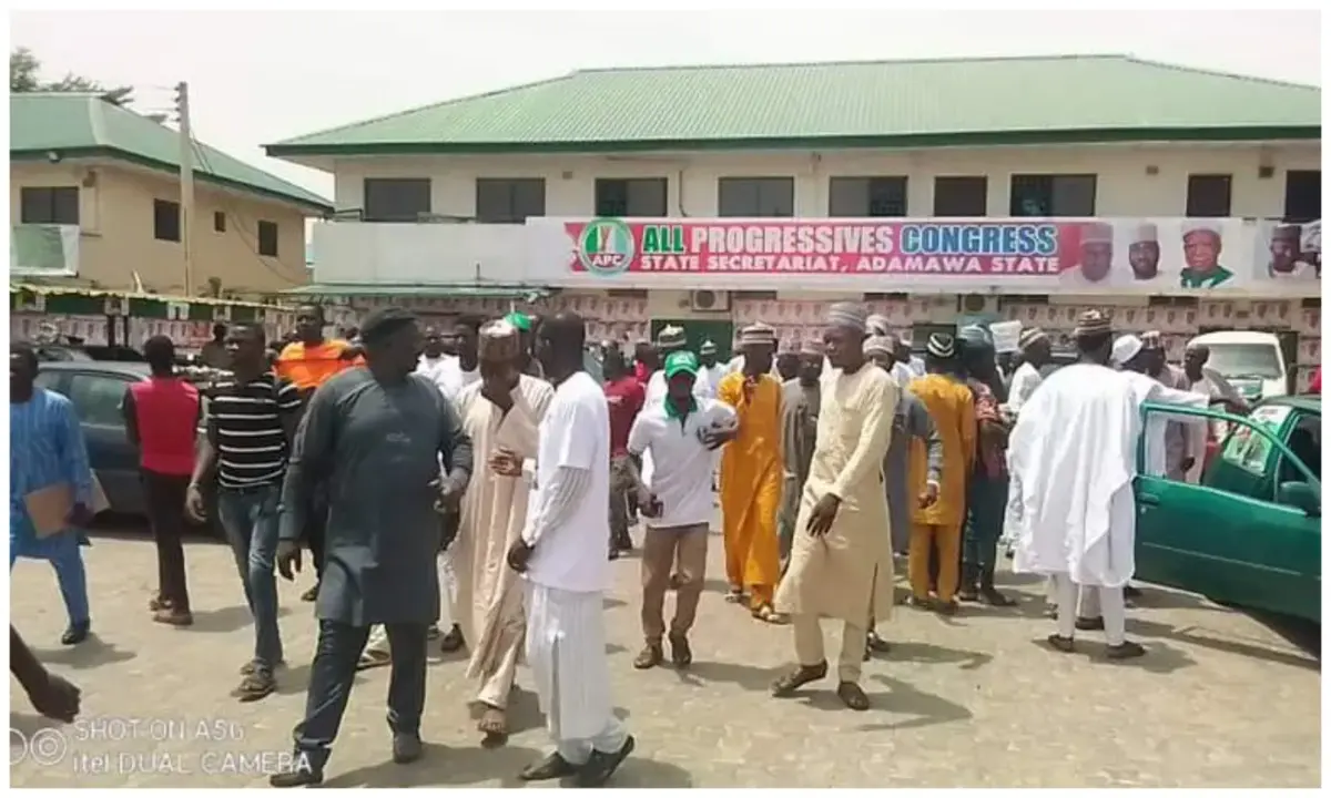 APC raises concerns over Adamawa LGA election