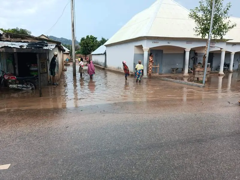 Heavy rain floods homes, farms, brings down structures in Adamawa community