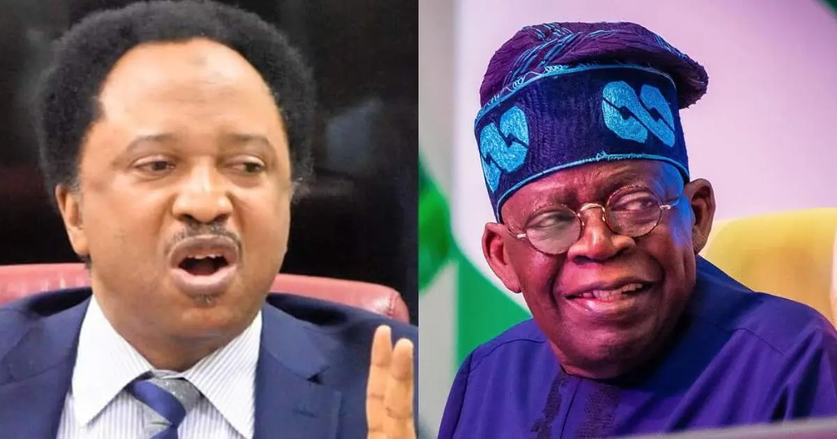 Don’t make Buhari’s mistake in appointments – Shehu Sani to Tinubu