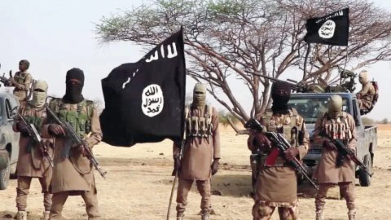 263 Boko Haram terrorists surrender in Borno