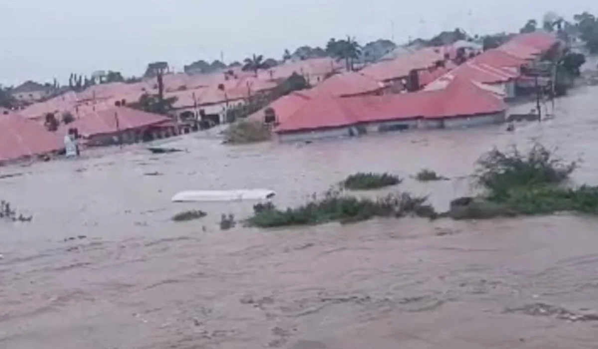 Flooding: Over one million persons affected in Nigeria – NEMA