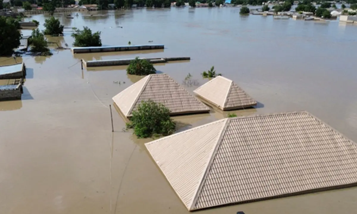 Borno: Nigerian Govt explains cause of Maiduguri flood