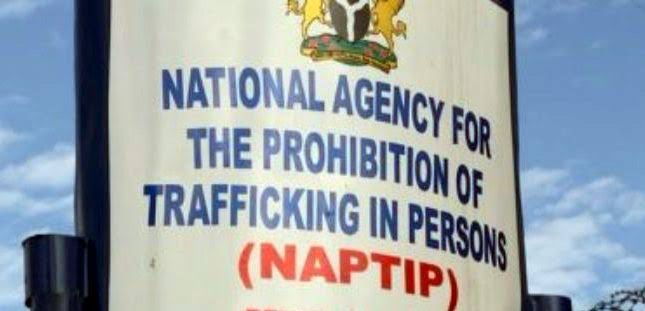 "Reports on Organ Harvesting, Human Trafficking in Akwa Ibom Deceptive, Misleading" -NAPTIP